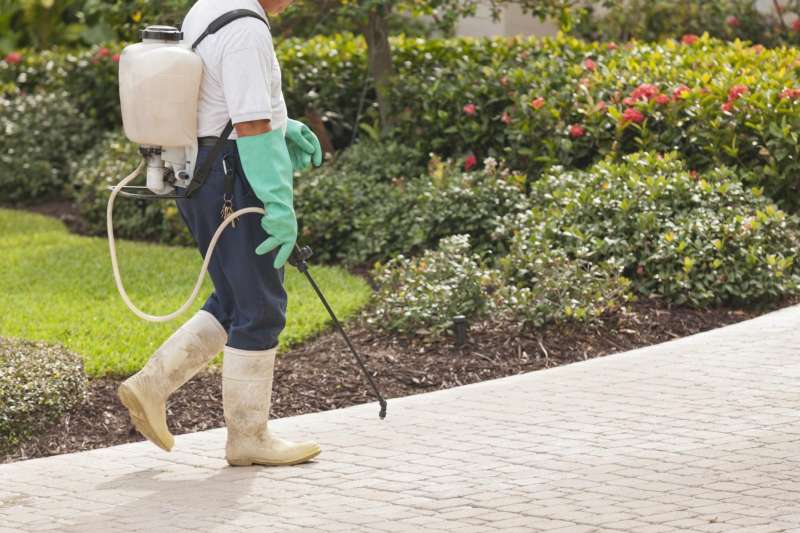 Heat Treatment for Bed Bugs